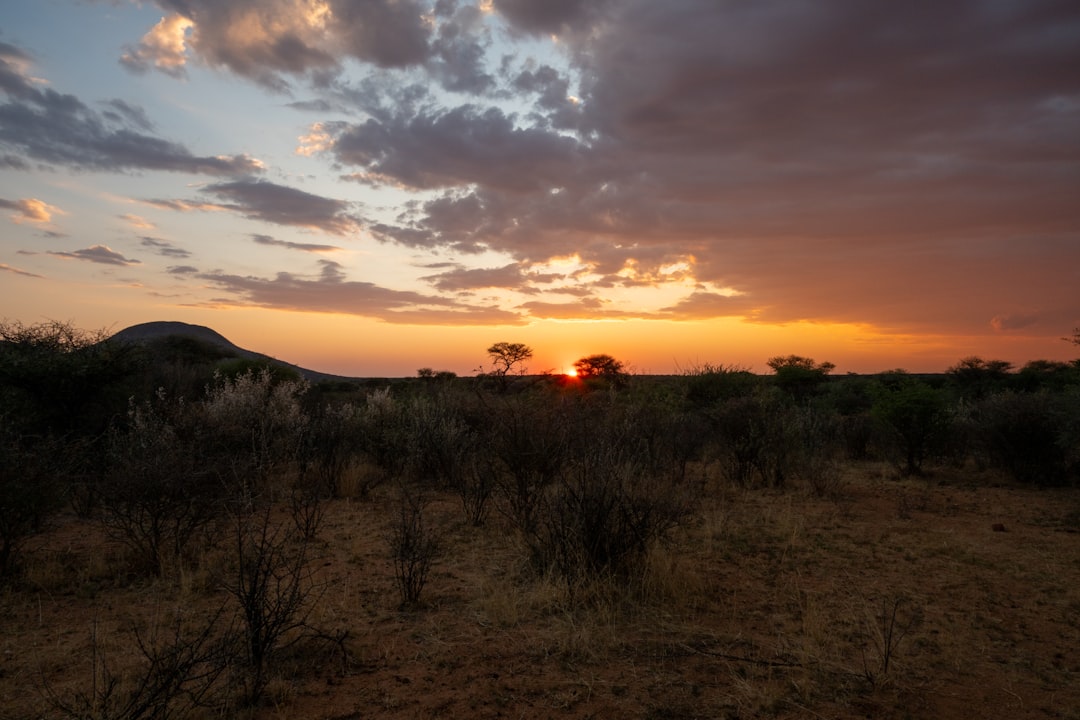 Safari Lodge Marketing in Kenya: How Sarabi Savanna Is Building a Maasai Mara Luxury Brand for the Global Traveller